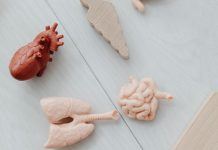 Rüyada Organ Görmek Ne Anlama Gelir? Rüyada vücut organlarını görmek, rüyada bir organın sağlıklı olduğunu görmek, rüyada organla ilgili bir tedavi görmek ve rüyada organın işlevini hissetmek.