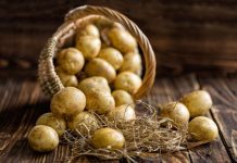 Rüyada Patates Görmek Ne Anlama Gelir? Rüyada patates yemek, rüyada patates kızartmak, rüyada çürük patates görmek vb. rüya tabirleri.