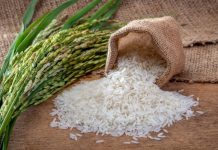 Rüyada Pirinç Görmek Ne Anlama Gelir? Rüyada pirinç görmek, rüyada pirinç toplamak, rüyada çiğ pirinç görmek, rüyada pirinç tarlasında yürümek vb. rüya tabirleri.