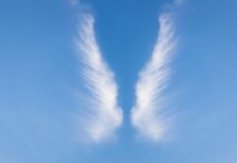 Rüyada Rüya Meleği Görmek Ne Anlama Gelir? Rüyada rüya meleği görmek, rüya meleğiyle rehberlik almak, rüya meleği ile doğru yolu bulmak, rüya meleğiyle bir öğreti almak vb. rüya tabirleri.