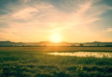 Rüyada Sabah Görmek Ne Anlama Gelir? Rüyada sabah görmek, sabah güneşinin doğduğunu görmek, sabah erken uyanmak, sabah huzurlu bir ortamda olmak vb. rüya tabirleri.