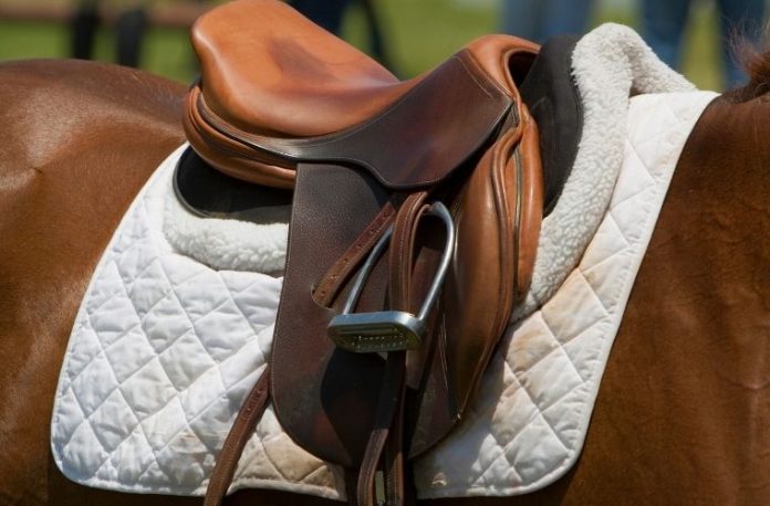 Rüyada semer görmek, rüyada bir hayvana semer takmak, rüyada yük taşıyan bir hayvanın semerini görmek.