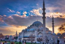 Rüyada Şevval Ayı Görmek Ne Anlama Gelir? Rüyada şevval ayında olduğunu görmek. Rüyada şevval orucu tutmak. Rüyada şevval ayında hacca gitmek.