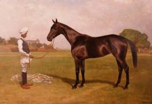 Rüyada Seyis Görmek Ne Anlama Gelir? Rüyada seyis görmek, rüyada bir ahırda seyis ile karşılaşmak, rüyada seyisin atları beslediğini izlemek, rüyada bir seyis ile sohbet etmek vb. rüya tabirleri.