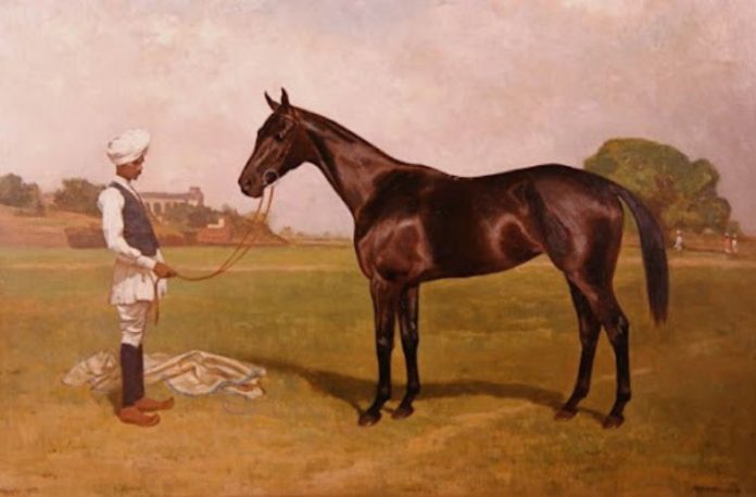 Rüyada seyis görmek, rüyada bir ahırda seyis ile karşılaşmak, rüyada seyisin atları beslediğini izlemek, rüyada bir seyis ile sohbet etmek vb. rüya tabirleri.