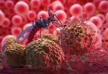 Rüyada Sıtma Görmek Ne Anlama Gelir? Rüyada sıtma görmek, rüyada hastalık nedeniyle titremek, rüyada yüksek ateş içinde olmak vb. rüya tabirleri.