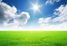 Rüyada Çimenli Yer Görmek Ne Anlama Gelir? Rüyada yeşil alan görmek, rüyada çimenlerin üzerinde yürümek, rüyada çimenlerin kuruduğunu görmek vb. rüya tabirleri.