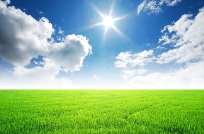 Rüyada yeşil alan görmek, rüyada çimenlerin üzerinde yürümek, rüyada çimenlerin kuruduğunu görmek vb. rüya tabirleri.