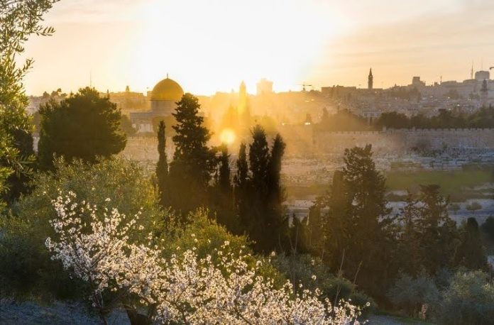 Rüyada onunla konuşmak, rüyada Hz. Süleyman’ın mührünü görmek, rüyada onun tahtına oturduğunu görmek vb. rüya tabirleri.