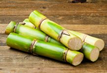 Rüyada Şeker Kamışı Görmek Ne Anlama Gelir? Rüyada şeker kamışı yemek, taze şeker kamışı görmek, şeker kamışı suyu içmek, elinde şeker kamışı tutmak vb. rüya tabirleri.