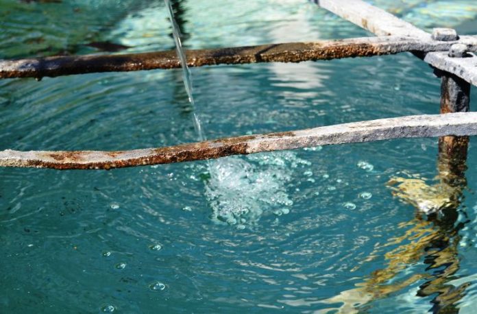 Şifalı su kaynağına girmek, suyla arınmak, doğal içme suyu görmek, suyun şifa verdiğini hissetmek vb. rüya tabirleri.