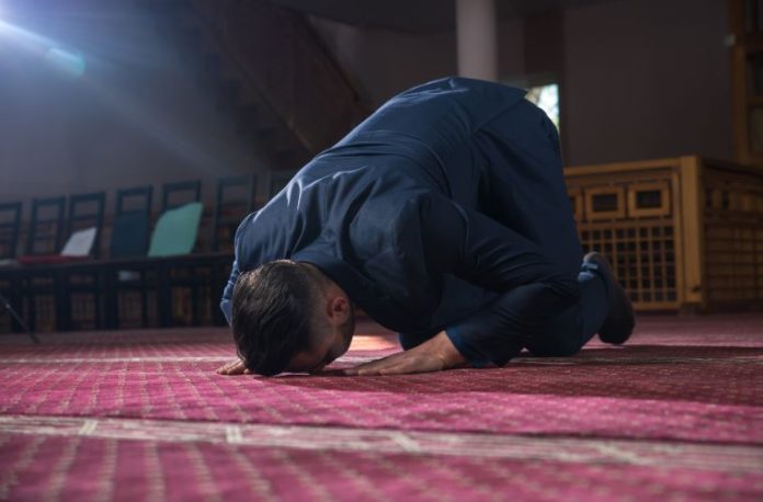 Rüyada şükür secdesi görmek, rüyada sevinçle yere kapanarak dua etmek, rüyada bir nimete kavuştuğunu hissedip secdeye varmak.