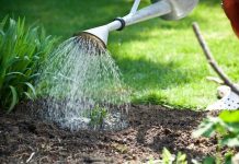 Rüyada Sulamak Görmek Ne Anlama Gelir? Rüyada bitki sulamak, rüyada bahçeye su vermek, rüyada kurumuş toprakları sulamak, rüyada çiçekleri sulamak vb. rüya tabirleri.