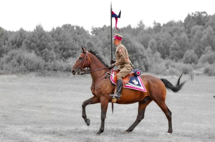 Rüyada süvari görmek, rüyada atlı askerlerle karşılaşmak, rüyada süvari birliğinin geçtiğini izlemek, rüyada silahlı süvari görmek vb. rüya tabirleri.