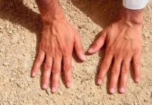 Rüyada Teyemmüm Görmek Ne Anlama Gelir? Rüyada teyemmüm ederek namaza hazırlanmak, rüyada toprakla teyemmüm almak, rüyada dini görev için teyemmüm yapmak.