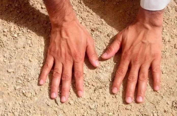 Rüyada teyemmüm ederek namaza hazırlanmak, rüyada toprakla teyemmüm almak, rüyada dini görev için teyemmüm yapmak.
