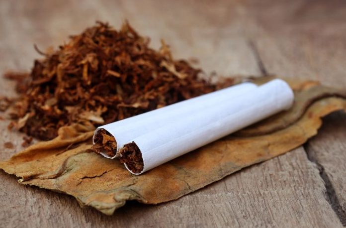 Kurutulmuş tütün görmek, tütün sarmak, tütün içmek, tütün yapraklarını ellemek vb. rüya tabirleri.