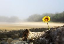 Rüyada Ümit Etmek Ne Anlama Gelir? Umutla beklemek, güzel bir şeyin gerçekleşmesini dilemek, içten ümit etmek vb. rüya tabirleri.