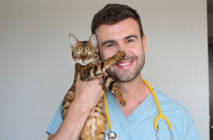 Veterinerle görüşmek, hayvan muayenesi izlemek, veteriner kliniğinde bulunmak vb. rüya tabirleri.