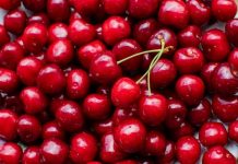 Rüyada Vişne Görmek Ne Anlama Gelir? Vişne ağacından meyve toplamak, kırmızı vişneleri avuçta tutmak, ekşi tat almak vb. rüya tabirleri.