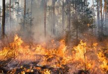 Rüyada Yangın Görmek Ne Anlama Gelir? Rüyada iş yerinde yangın görmek, rüyada alevler arasında kalmak, rüyada yangın söndürmek vb. rüya tabirleri.
