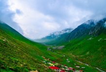 Rüyada Yayla Görmek Ne Anlama Gelir? Rüyada çiçekli yayla görmek, rüyada yaylada ev görmek, rüyada yaylada kamp yapmak vb. rüya tabirleri.