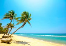 Rüyada Yaz Görmek Ne Anlama Gelir? Rüyada sıcak yaz gününde yürümek, rüyada yaz aylarında denize girmek, rüyada yaz havası hissetmek vb. rüya tabirleri.