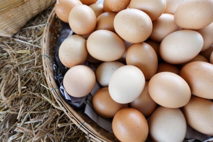 Rüyada çiğ yumurta görmek, rüyada yumurta toplamak, rüyada renkli yumurtalar görmek vb. rüya tabirleri.