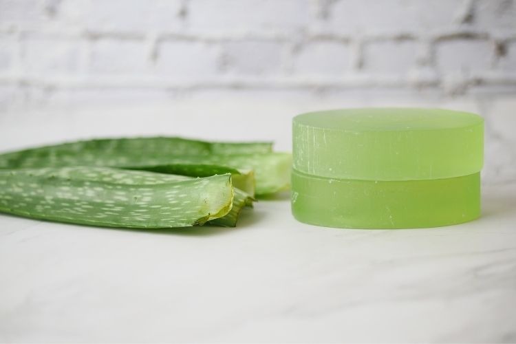 Aloe vera jelinin güneş yanığı üzerindeki yatıştırıcı etkisini anlatan çizim
