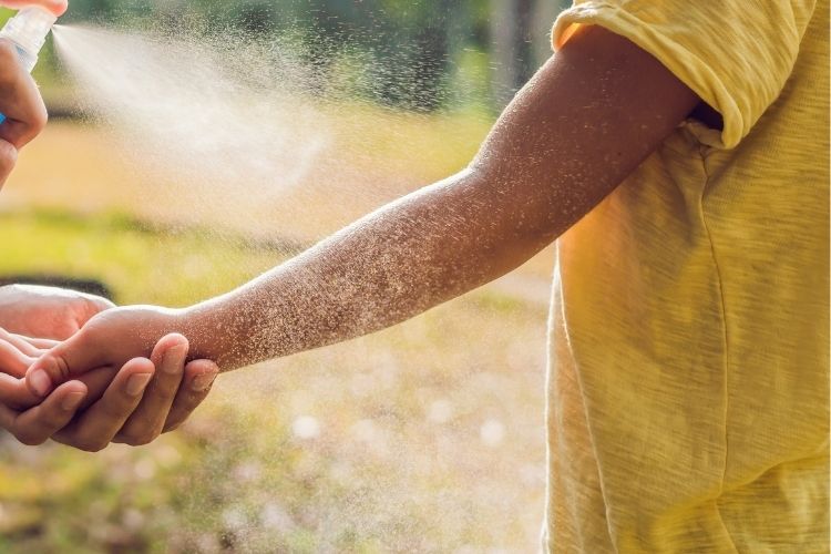Sivrisinek ısırıklarından korunmak için önerilen doğal ve kimyasal önlemleri gösteren çizim