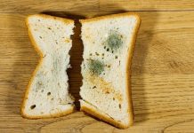 Yaz Mevsiminde Dışarıda Yenen Yemekler ve Gıda Zehirlenmesi Riski Yaz mevsiminde dışarıda tüketilen yiyeceklerin gıda zehirlenmesi riskini artırabileceğini anlatan uyarıcı görsel