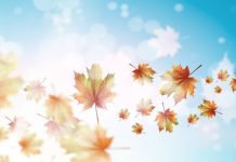 Eylül Ayında Çocuklarla Yapılabilecek 8 Etkinlik eylulde cocuklarla yapilabilecek etkinlikler