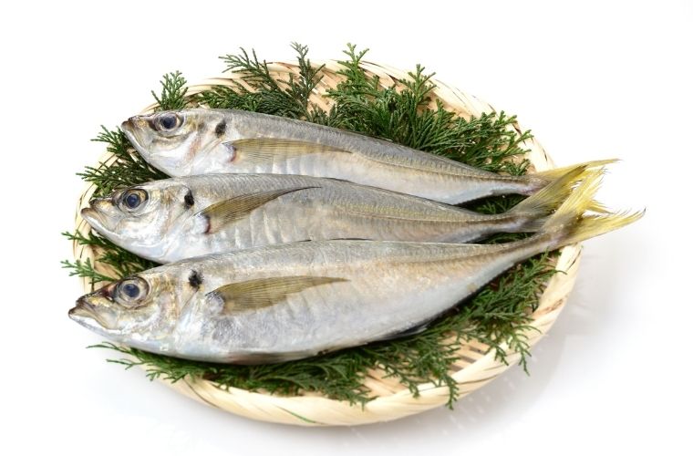 Kasım ayında taze istavrit, uygun fiyatı ve besin değeri ile tercih edilir.