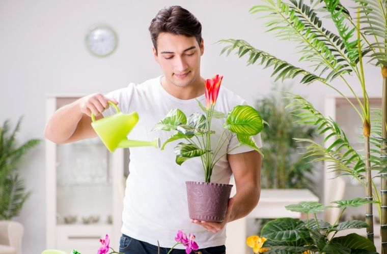 Kasım ayında bitkiler için sulama, budama ve toprak bakımı önerileri.